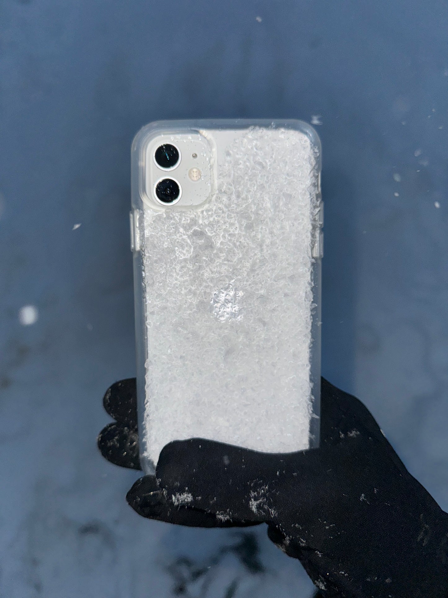 Perma-Frost Phone case